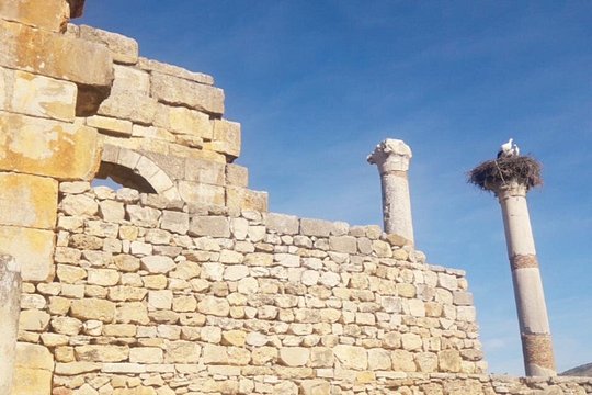 Tour image 5