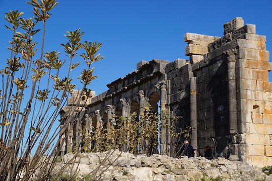 Tour image 1