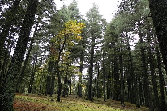 Tour image 6