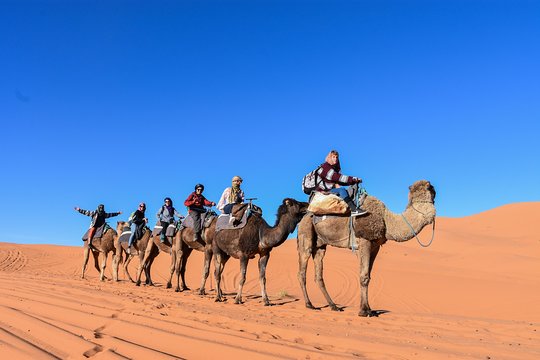 Tour image 7