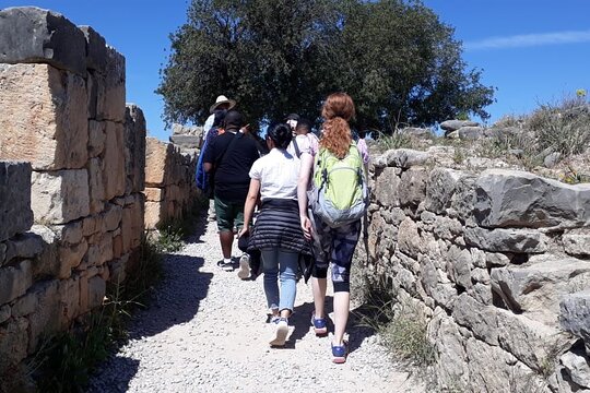 Tour image 8