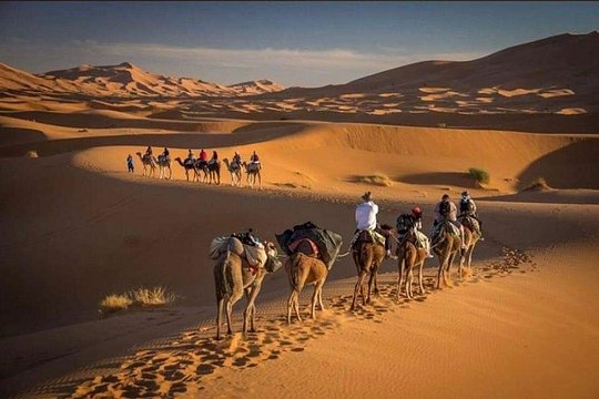 Tour image 13